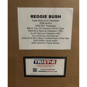 Reggie Bush Signed Framed Jersey Tristar Autographed USC Southern Cal Heisman