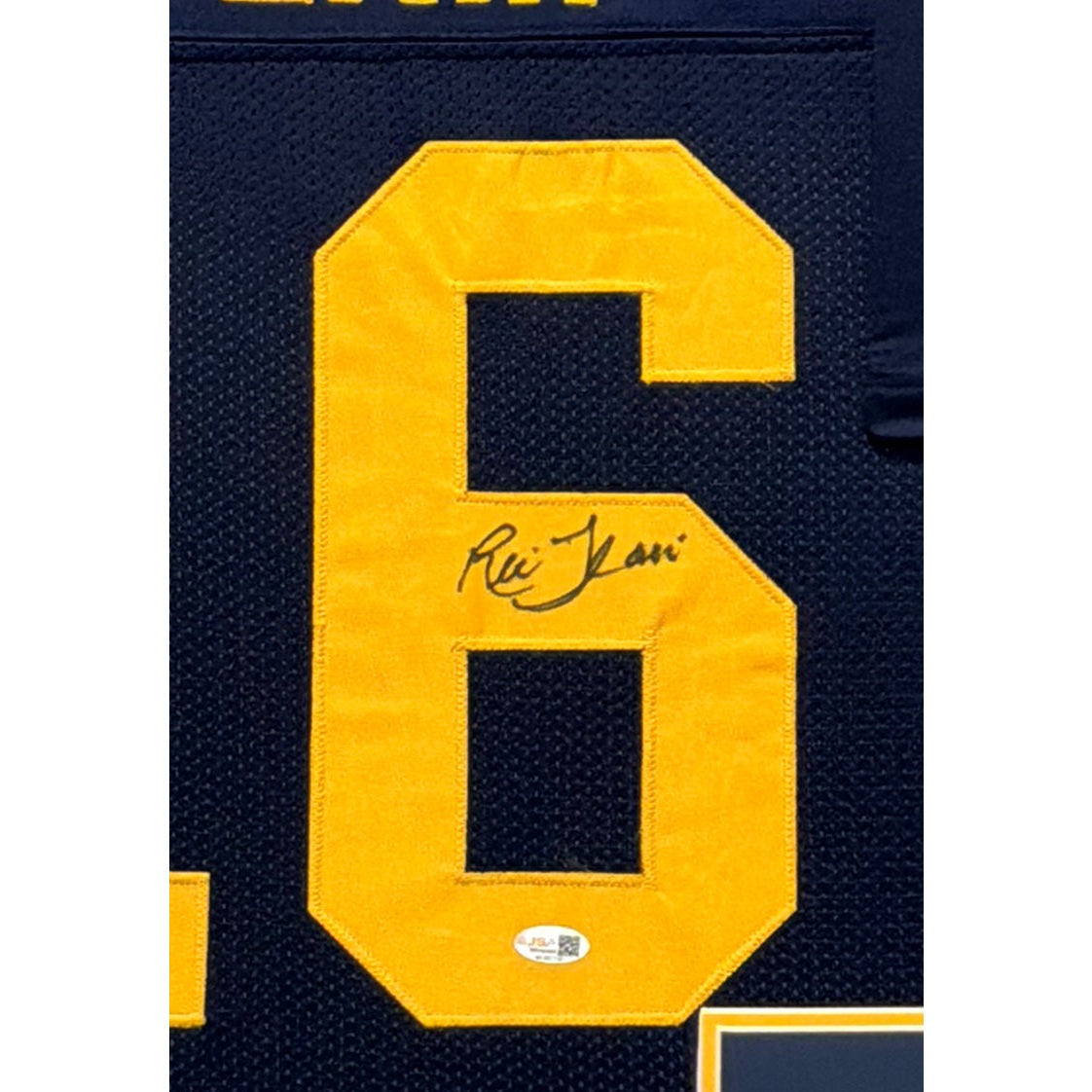 Ric Flair Framed Jersey JSA Autographed Signed 16 Time Champion Michigan