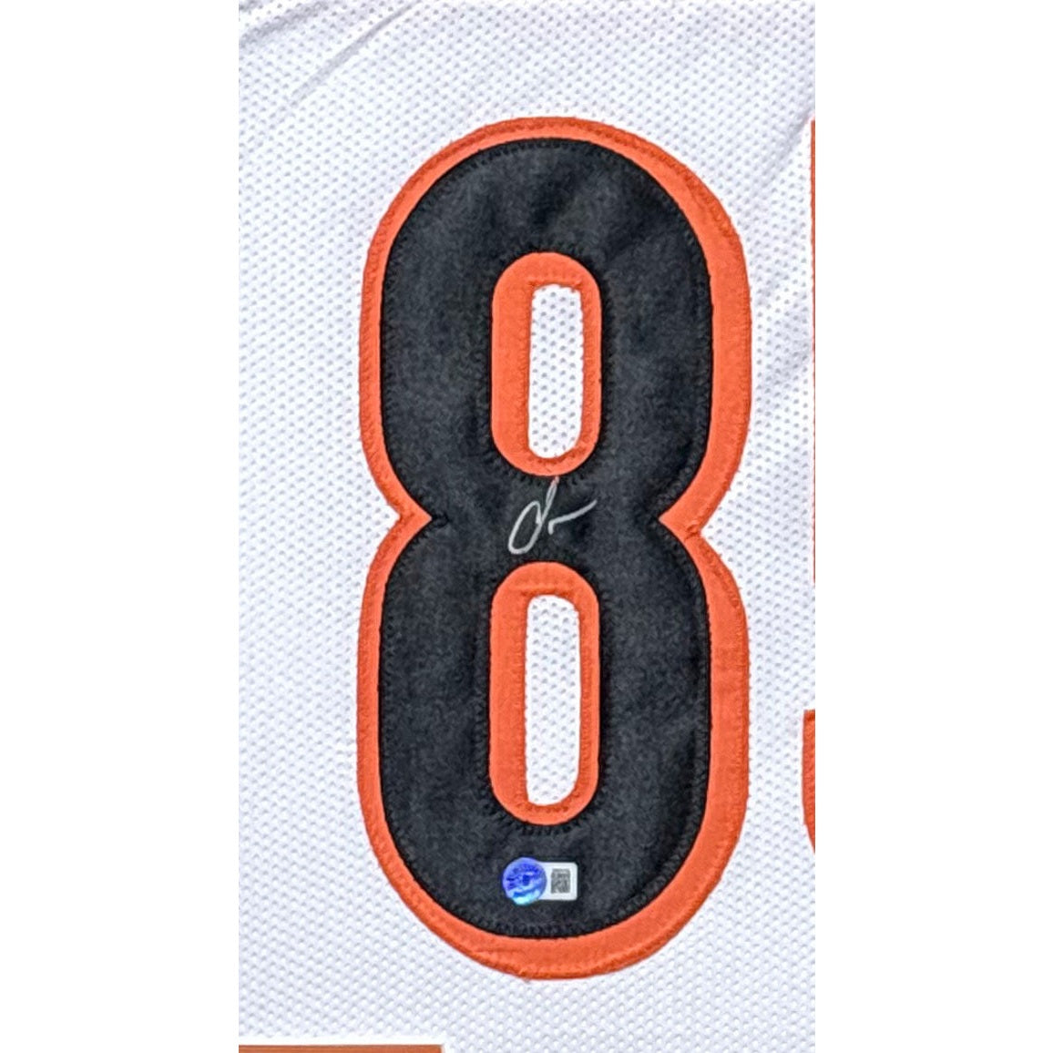 Chad Ochocinco Johnson Framed Jersey Beckett Autographed Signed Bengals