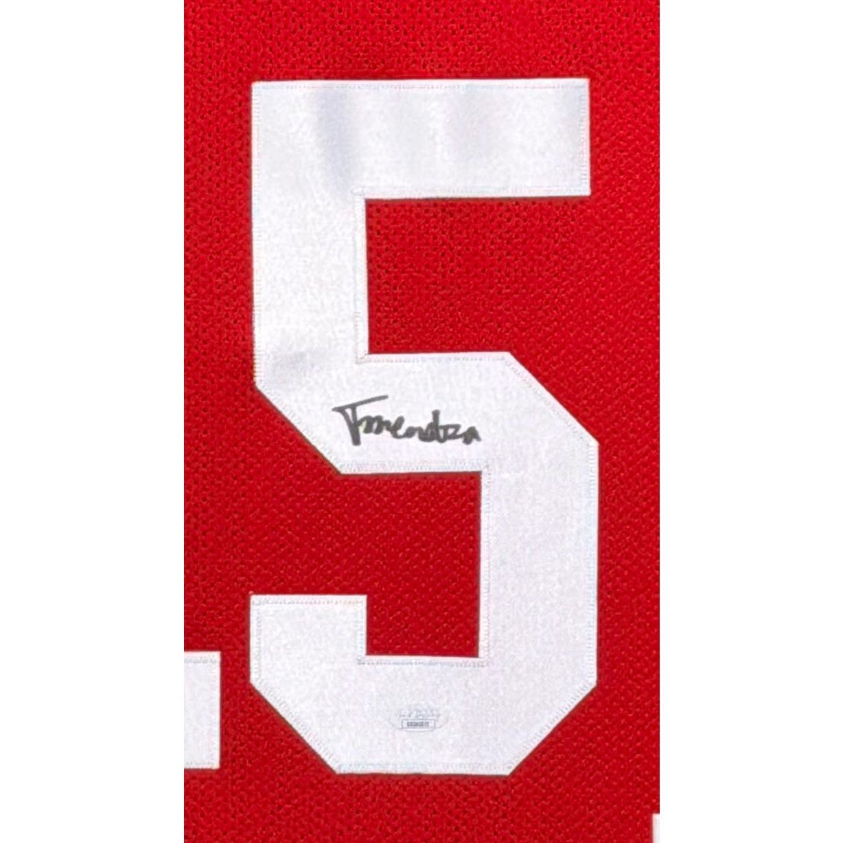 Fernando Mendoza Framed Signed Stat Jersey JSA Autographed Indiana